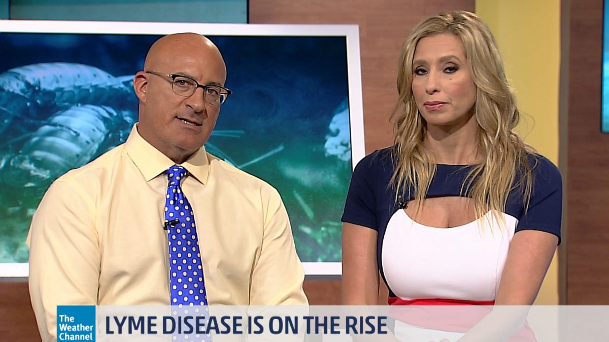 Lyme Disease On The Rise